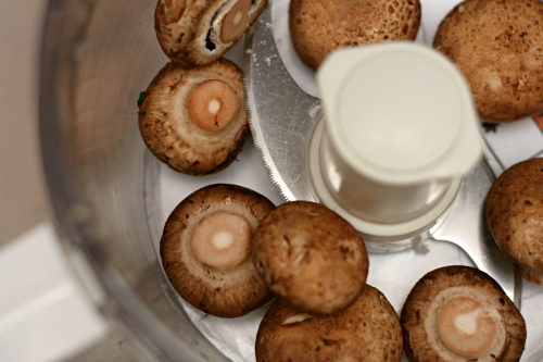 Copy of IMG_0470 Copy of IMG_0470