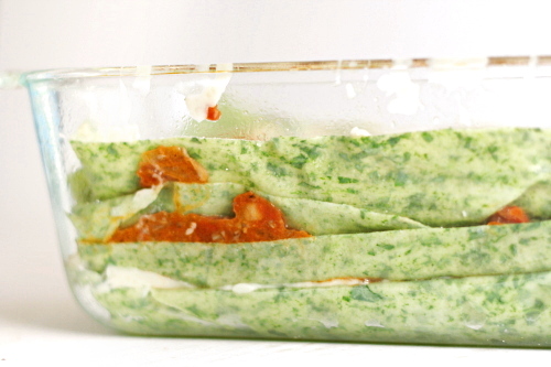 Copy of IMG_0492 Copy of IMG_0492